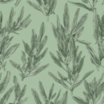 Salbei gegen Schwitzen am Kopf (salbei gegen schwitzen am kopf): Was Sie über Wirksamkeit, Anwendung und Studienlage wissen sollten