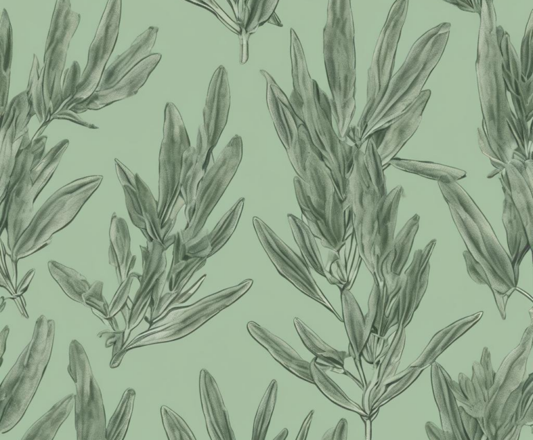 Salbei gegen Schwitzen am Kopf (salbei gegen schwitzen am kopf): Was Sie über Wirksamkeit, Anwendung und Studienlage wissen sollten 18 Salbei gegen Schwitzen am Kopf (salbei gegen schwitzen am kopf): Was Sie über Wirksamkeit, Anwendung und Studienlage wissen sollten