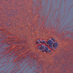 Iontophorese-Entzündungen: Was Sie über Ursachen, Risiken und Therapieoptionen wissen sollten